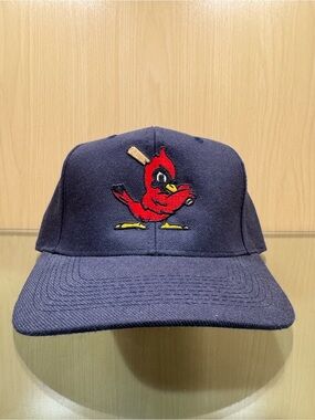 Vintage AJM St Louis Cardinals SnapBack Hat MLB Baseball